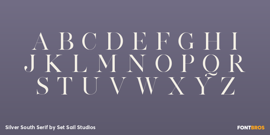 Silver South Serif Font Poster #2