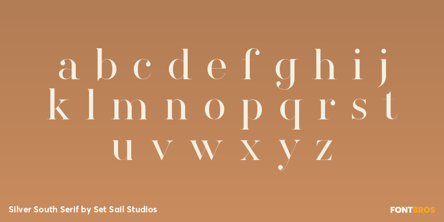 Silver South Serif Font Poster #3