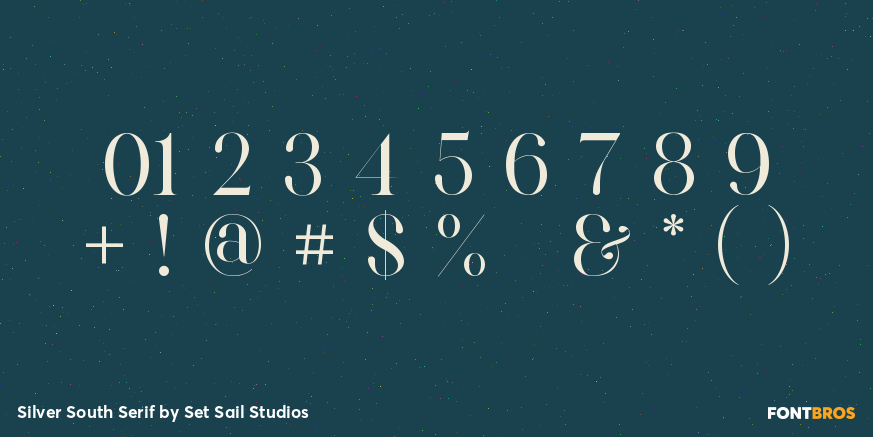 Silver South Serif Font Poster #4