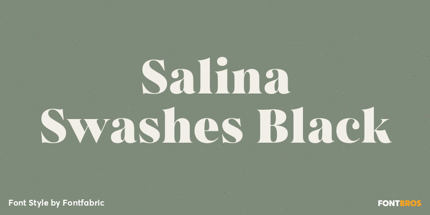 Salina Swashes Black Poster