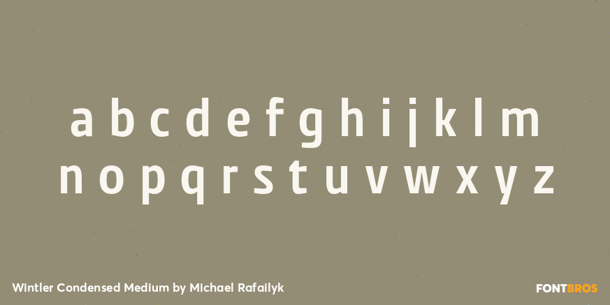 Wintler Condensed Medium Font Poster #3