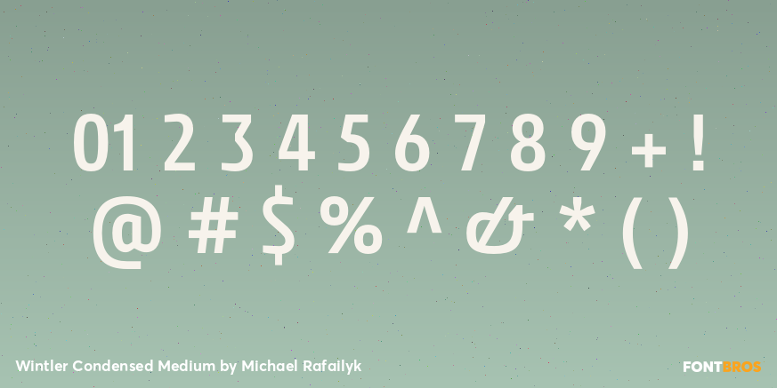 Wintler Condensed Medium Font Poster #4
