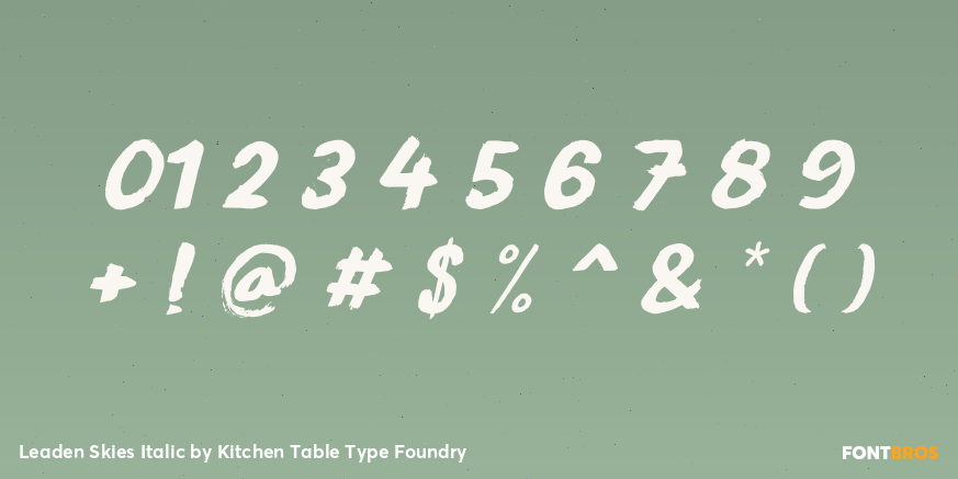 Leaden Skies Italic Font Poster #1