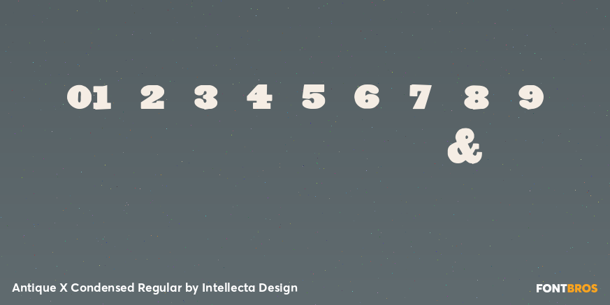 Antique X Condensed Regular Font Poster #4