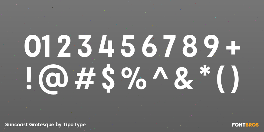 Suncoast Grotesque Font Poster #1