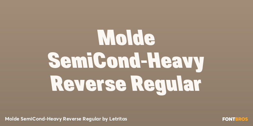 Molde SemiCond-Heavy Reverse Regular Font Poster #1
