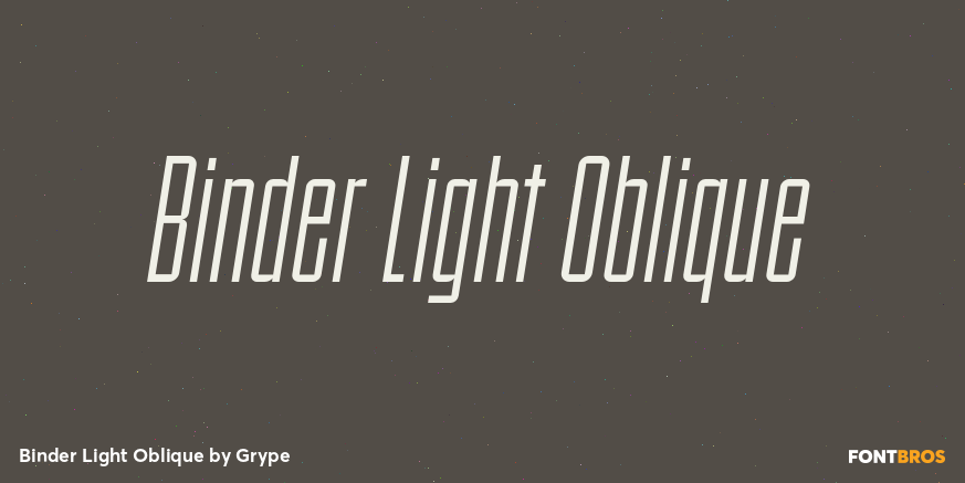 Binder Light Oblique Font Poster #1