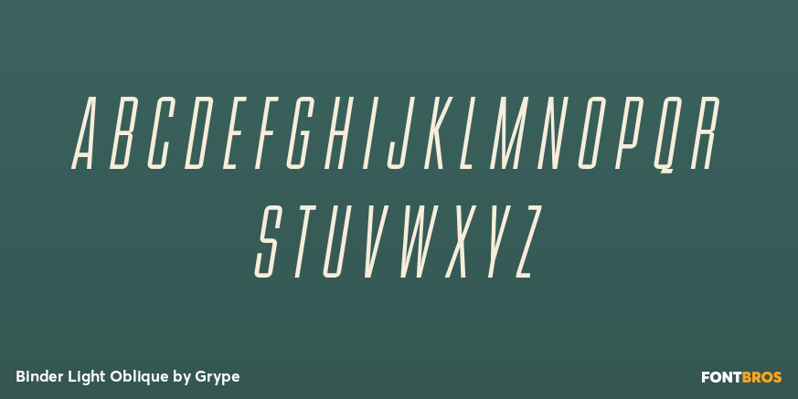 Binder Light Oblique Font Poster #2