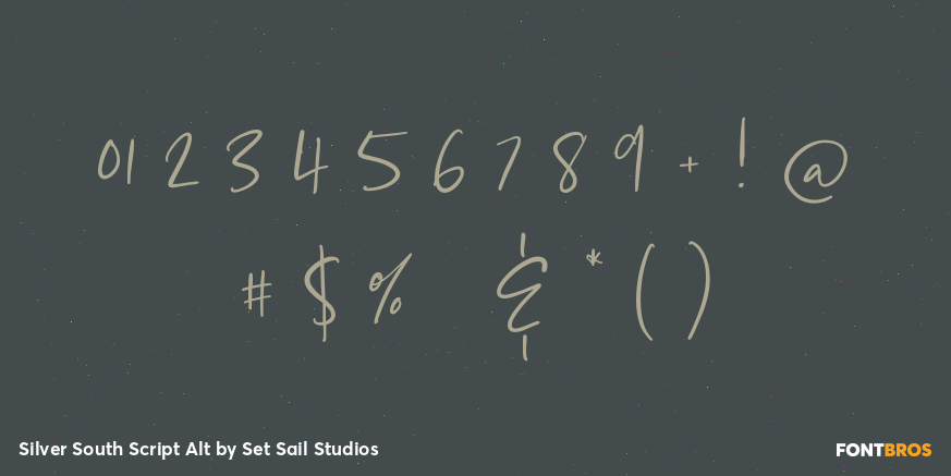 Silver South Script Alt Font Poster #1