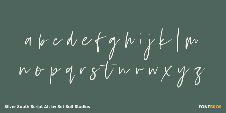 Silver South Script Alt Font Poster #1