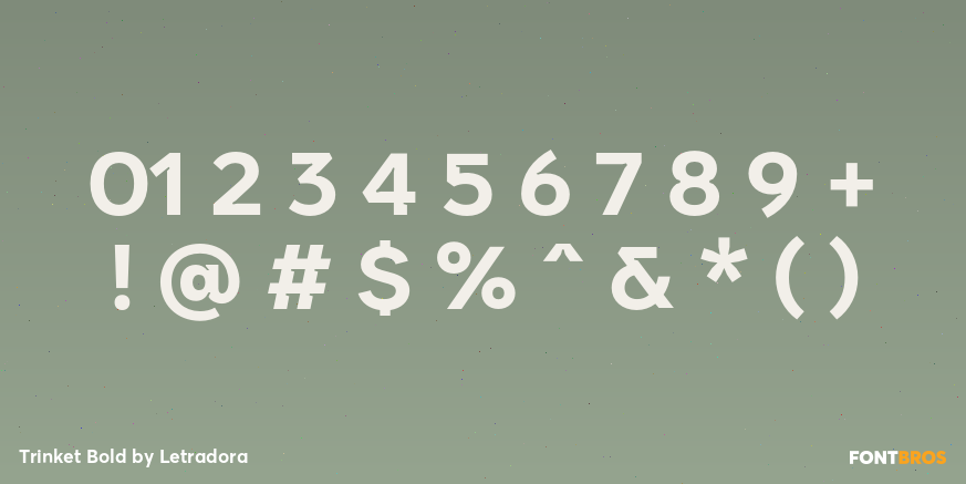 Trinket Bold Font Poster #4