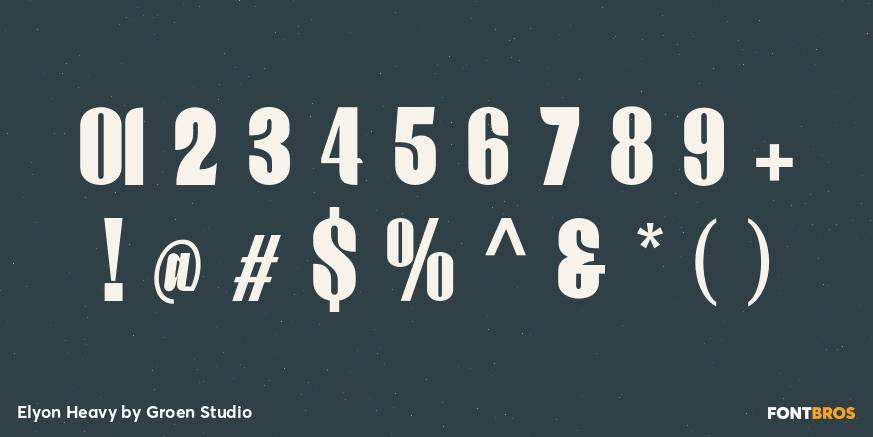 Elyon Heavy Font Poster #4