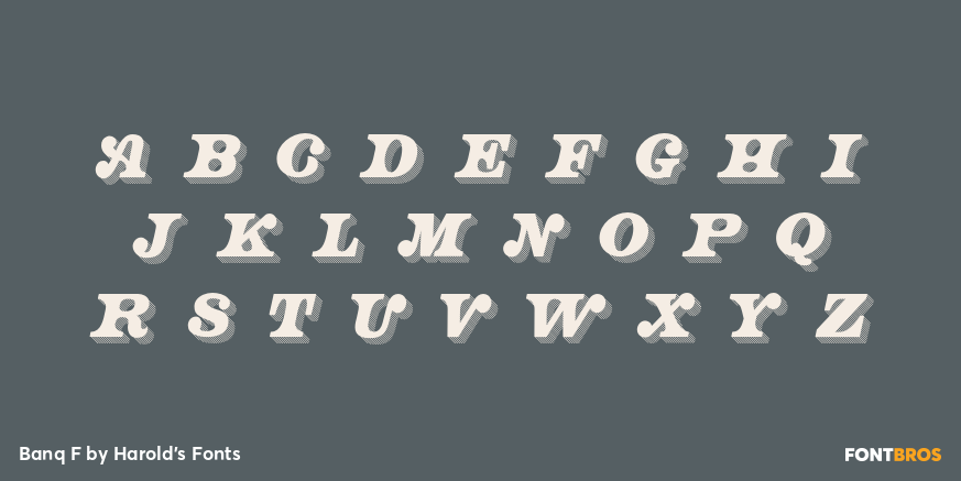 Banq F Font Poster #3