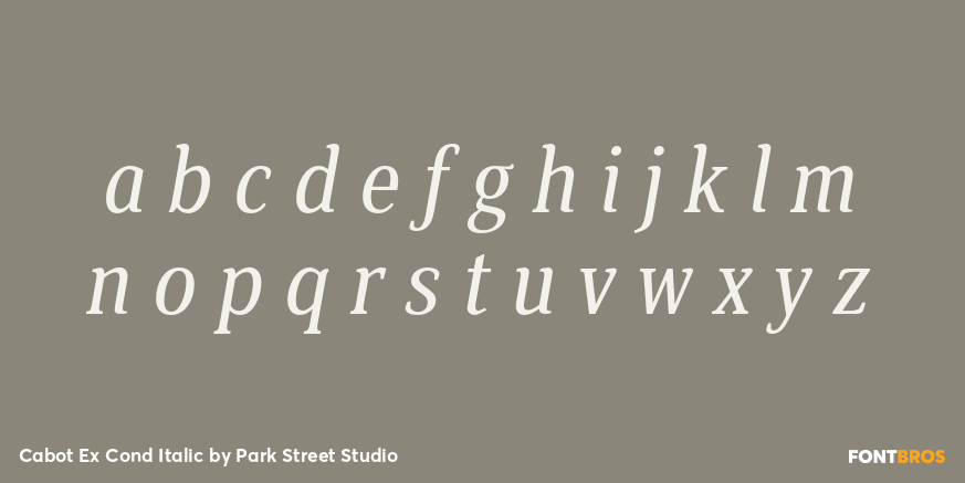 Cabot Ex Cond Italic Font Poster #3