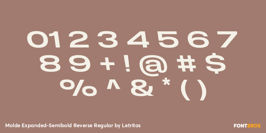 Molde Expanded-Semibold Reverse Regular Font Poster #4