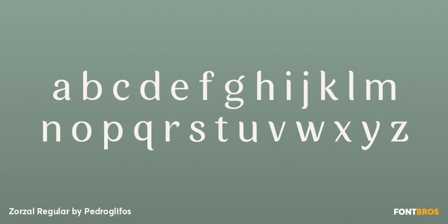 Zorzal Regular Font Poster #3