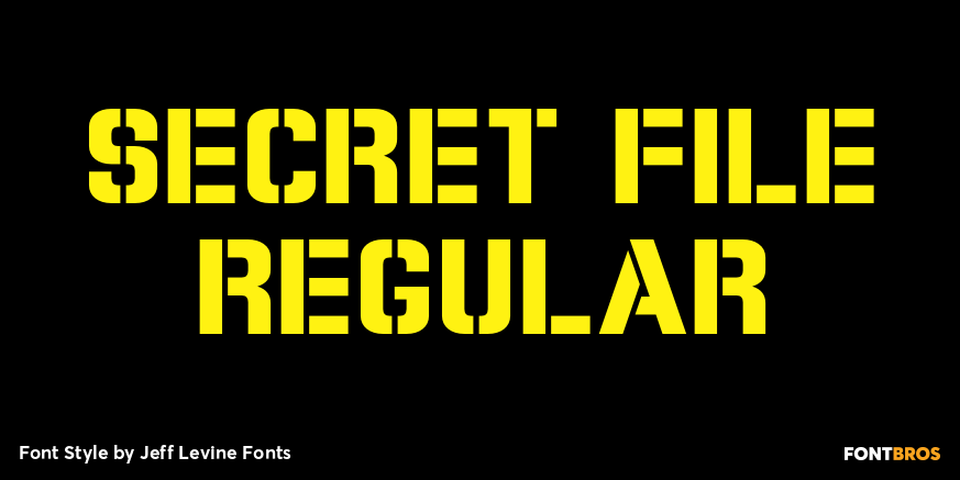 Secret File Regular Poster