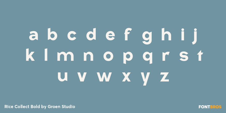 Rice Collect Bold Font Poster #3