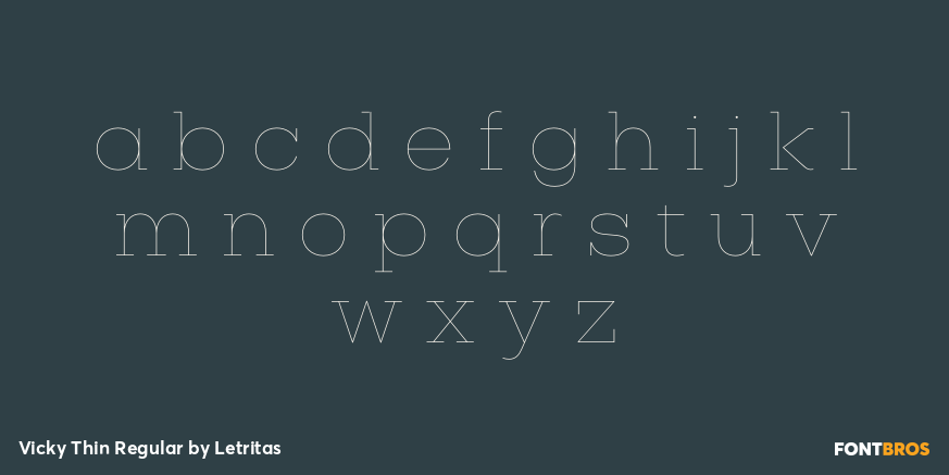 Vicky Thin Regular Font Poster #3