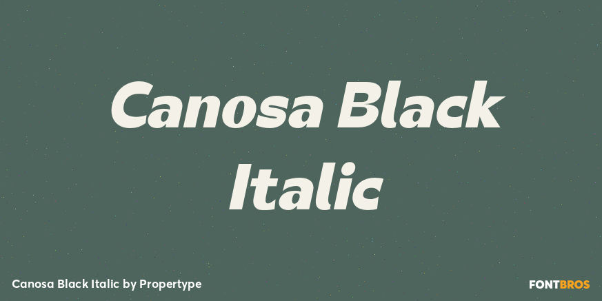 Canosa Black Italic Poster
