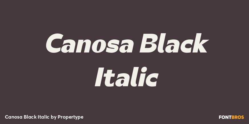 Canosa Black Italic Poster