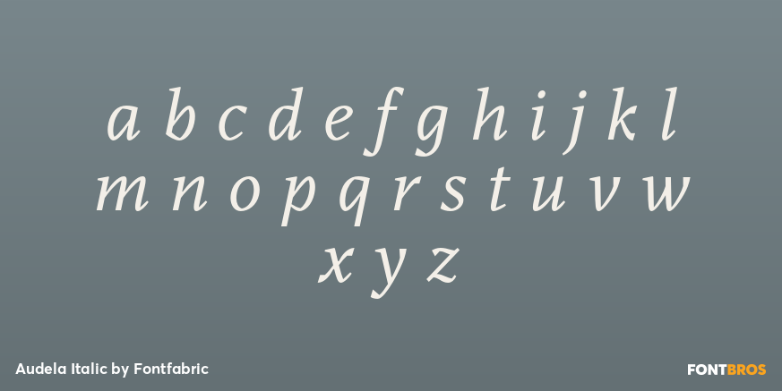 Audela Italic Font Poster #3
