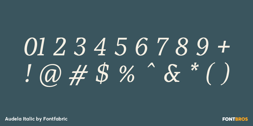 Audela Italic Font Poster #4