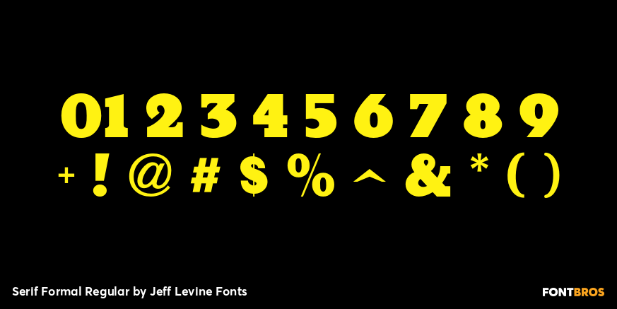 Serif Formal Regular Font Poster #4