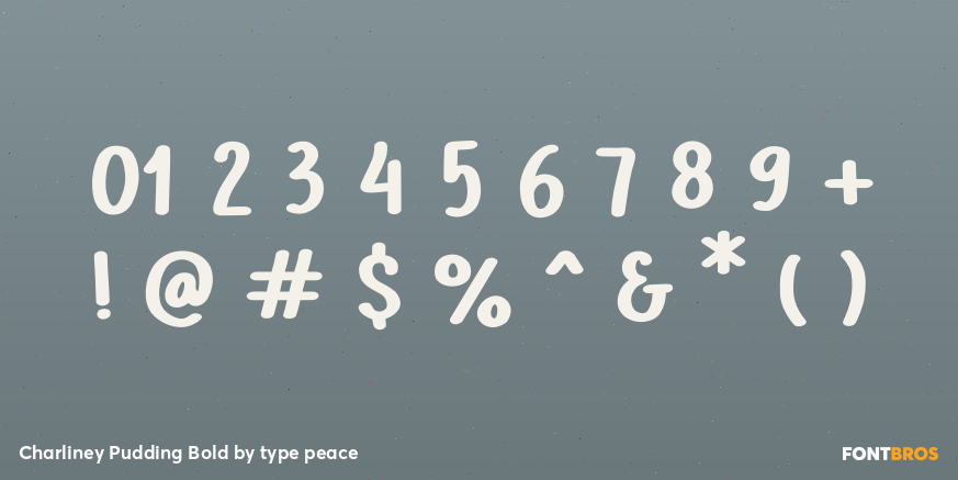 Charliney Pudding Bold Font Poster #1