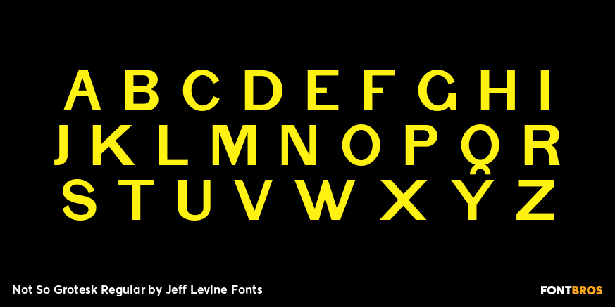 Not So Grotesk Regular Font Poster #2
