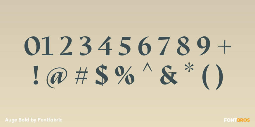 Auge Bold Font Poster #1