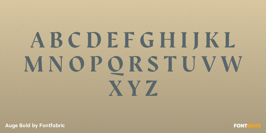 Auge Bold Font Poster #2