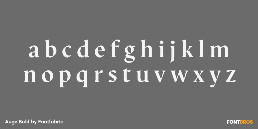 Auge Bold Font Poster #3