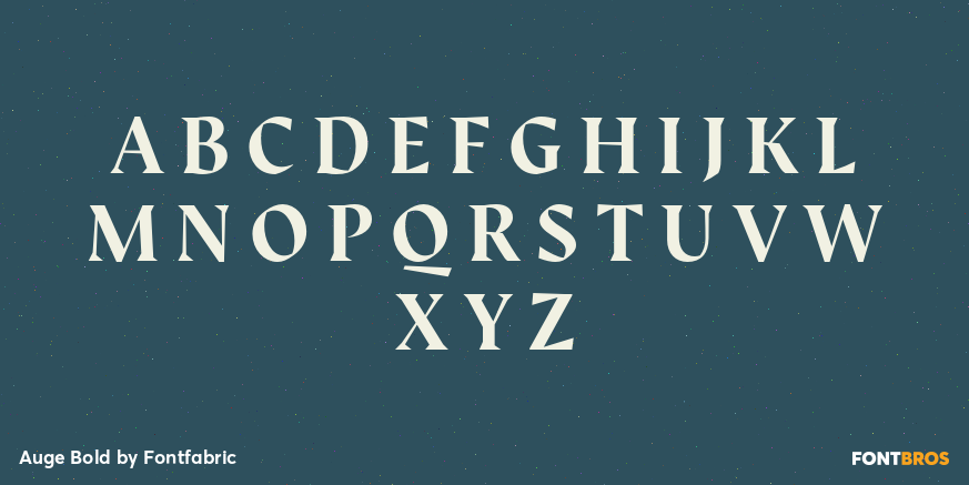Auge Bold Font Poster #1