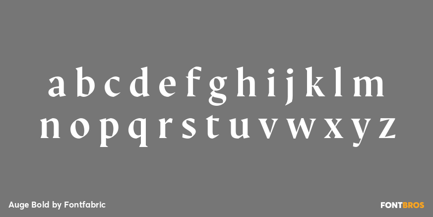 Auge Bold Font Poster #1