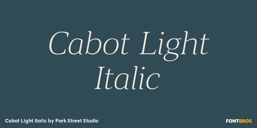 Cabot Light Italic Font Poster #1