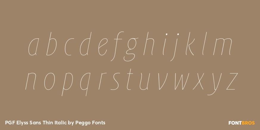 PGF Elyss Sans Thin Italic Font Poster #3