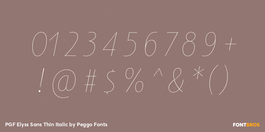PGF Elyss Sans Thin Italic Font Poster #4