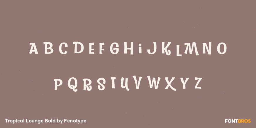 Tropical Lounge Bold Font Poster #1