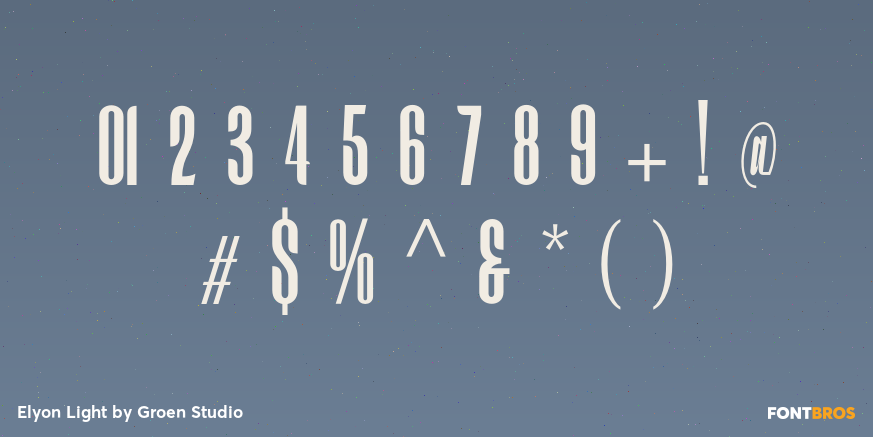 Elyon Light Font Poster #4
