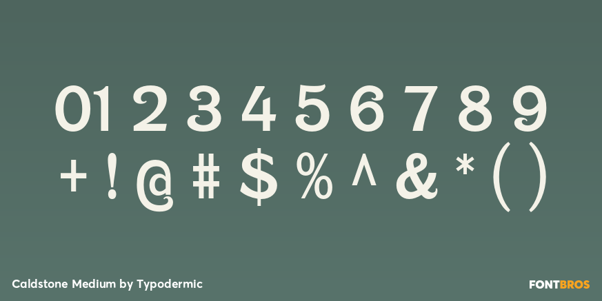 Caldstone Medium Font Poster #4
