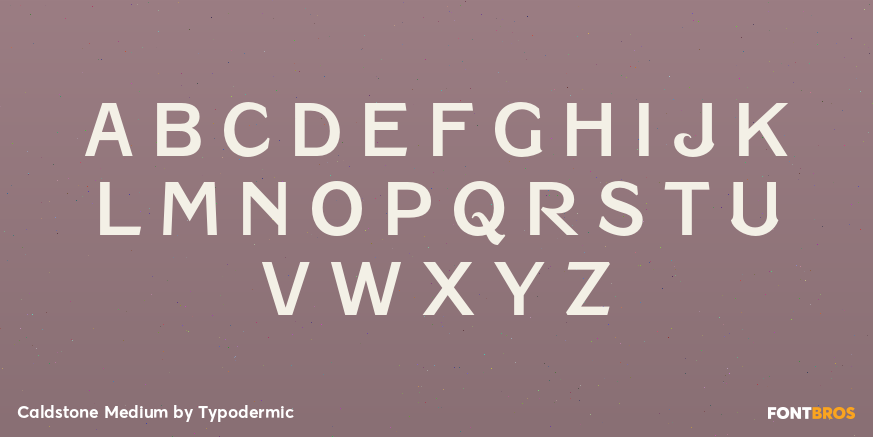 Caldstone Medium Font Poster #2