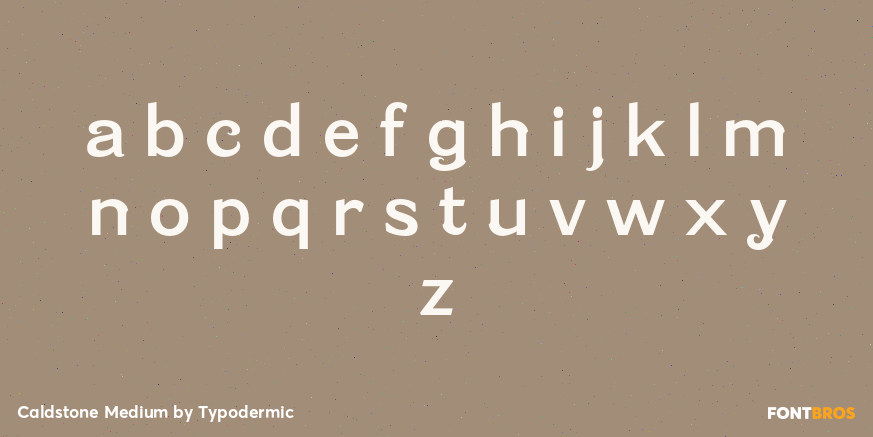 Caldstone Medium Font Poster #3