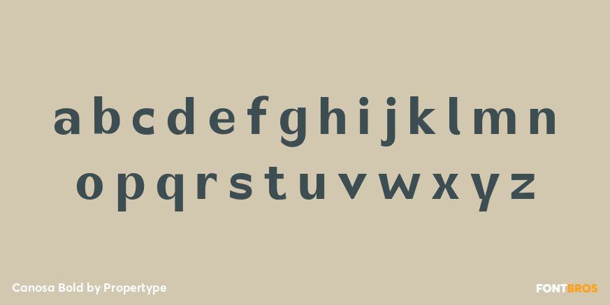 Canosa Bold Font Poster #3