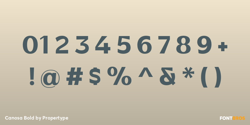 Canosa Bold Font Poster #4