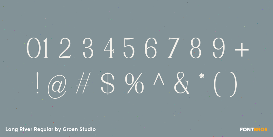 Long River Regular Font Poster #4
