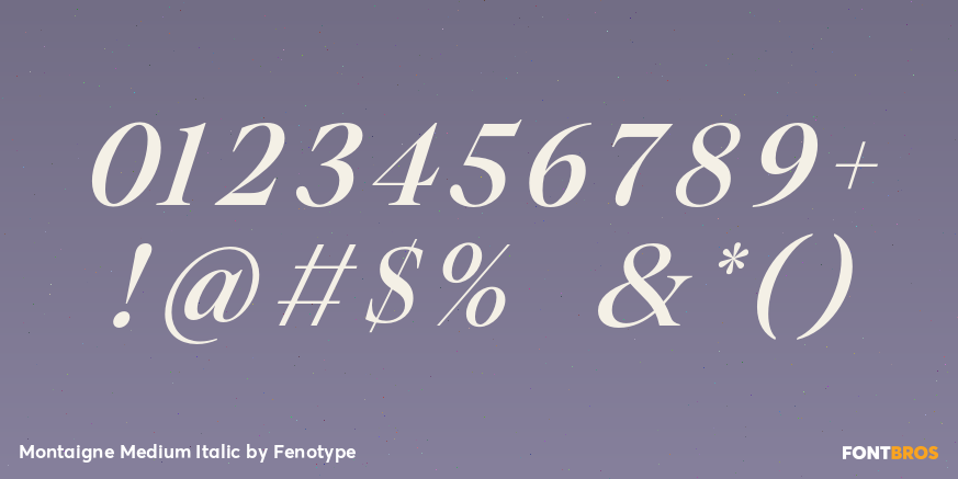 Montaigne Medium Italic Font Poster #4