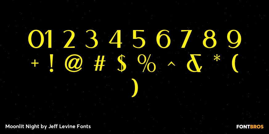 Moonlit Night Font Poster #1