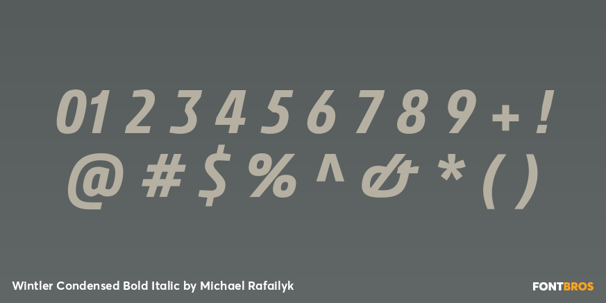 Wintler Condensed Bold Italic Font Poster #1