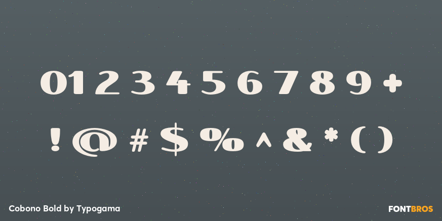 Cobono Bold Font Poster #4
